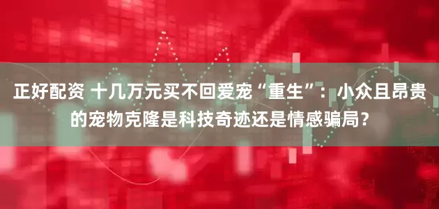 正好配资 十几万元买不回爱宠“重生”：小众且昂贵的宠物克隆是科技奇迹还是情感骗局？