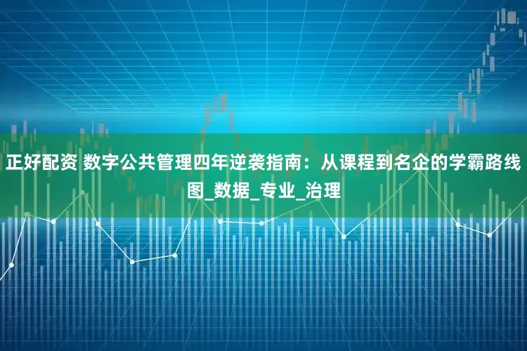正好配资 数字公共管理四年逆袭指南：从课程到名企的学霸路线图_数据_专业_治理