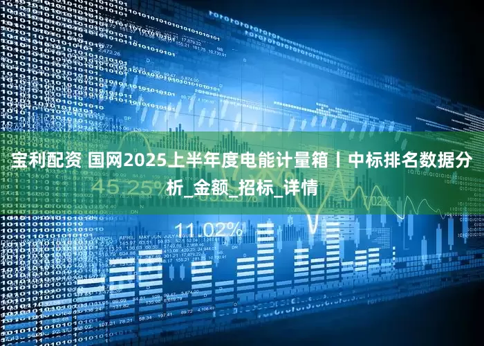 宝利配资 国网2025上半年度电能计量箱丨中标排名数据分析_金额_招标_详情